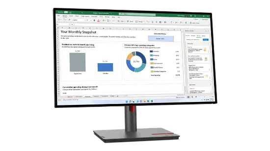 Picture of Lenovo ThinkVision  P27q-30 27 inch 2K QHD Monitor