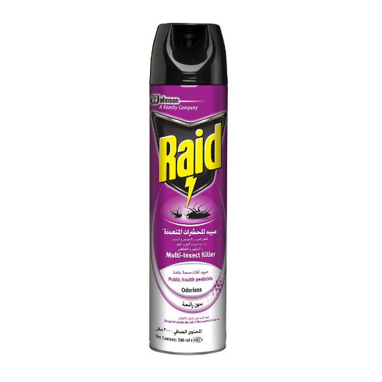 Picture of Raid Odorless Insecticide 300ml - Pack of 48
